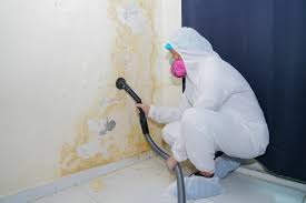 Best Residential Mold Inspection & Testing  in Sanford, FL